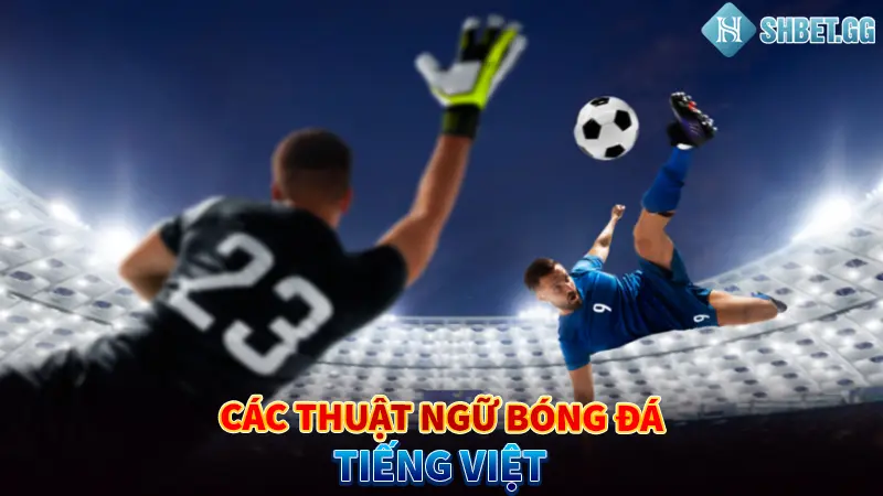 Các thuật ngữ bóng đá tiếng Việt