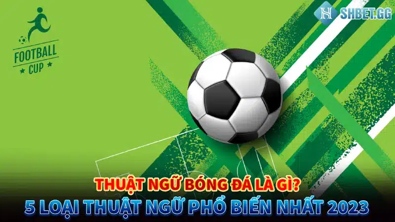 Thuật Ngữ Bóng Đá Là Gì 5 Loại Thuật Ngữ Phổ Biến Nhất 2023