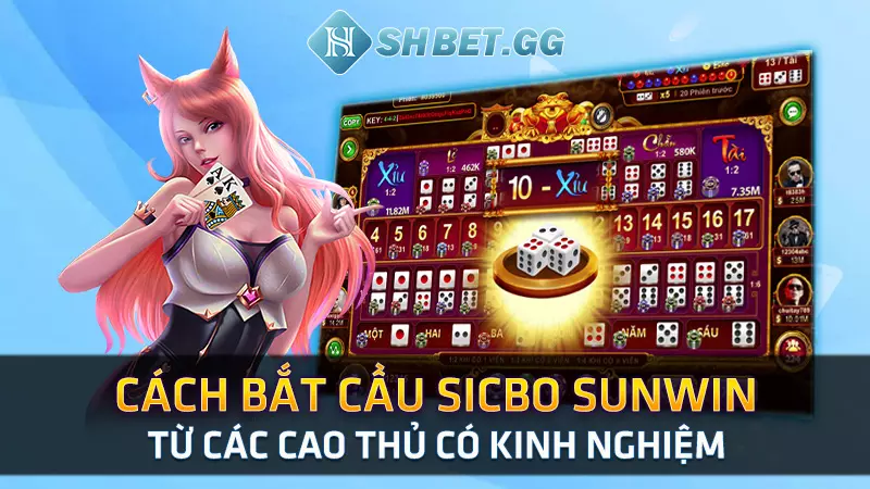 Cách bắt cầu sicbo Sunwin từ các cao thủ có kinh nghiệm