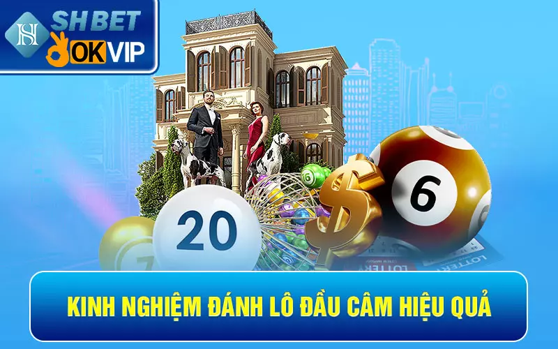 Kinh nghiệm đánh lô đầu câm hiệu quả