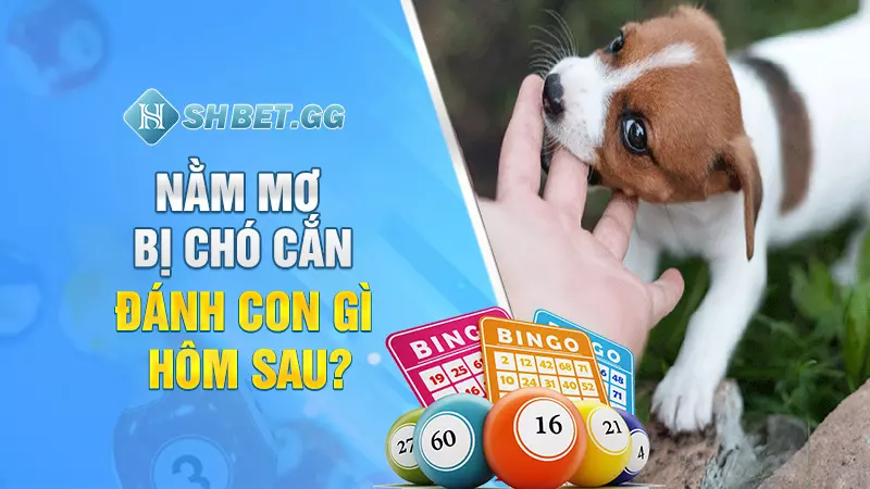 Nằm mơ bị chó cắn đánh con gì hôm sau?