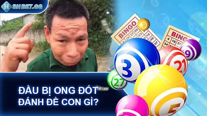 Đầu bị ong đốt đánh đề con gì?