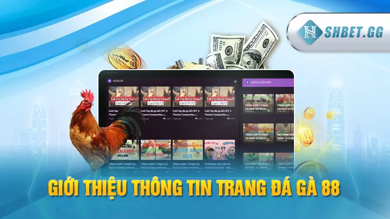 Giới thiệu thông tin trang đá gà 88