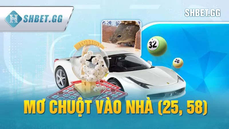 Mơ chuột vào nhà (25, 58)