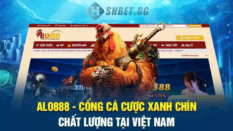 Alo888 - Cổng cá cược xanh chín, chất lượng tại Việt Nam